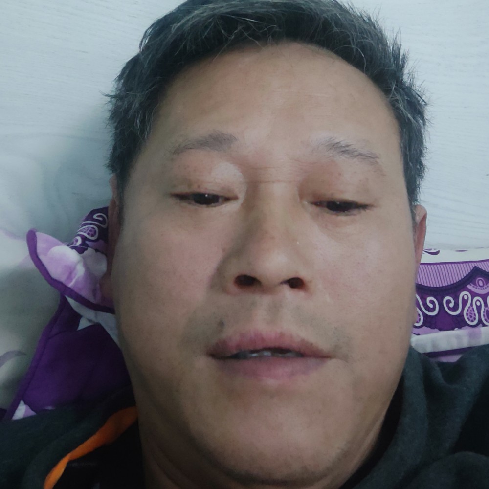 腼腆花瓣。658的照片