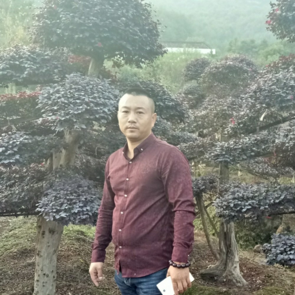 玉米爱恋自觉的照片