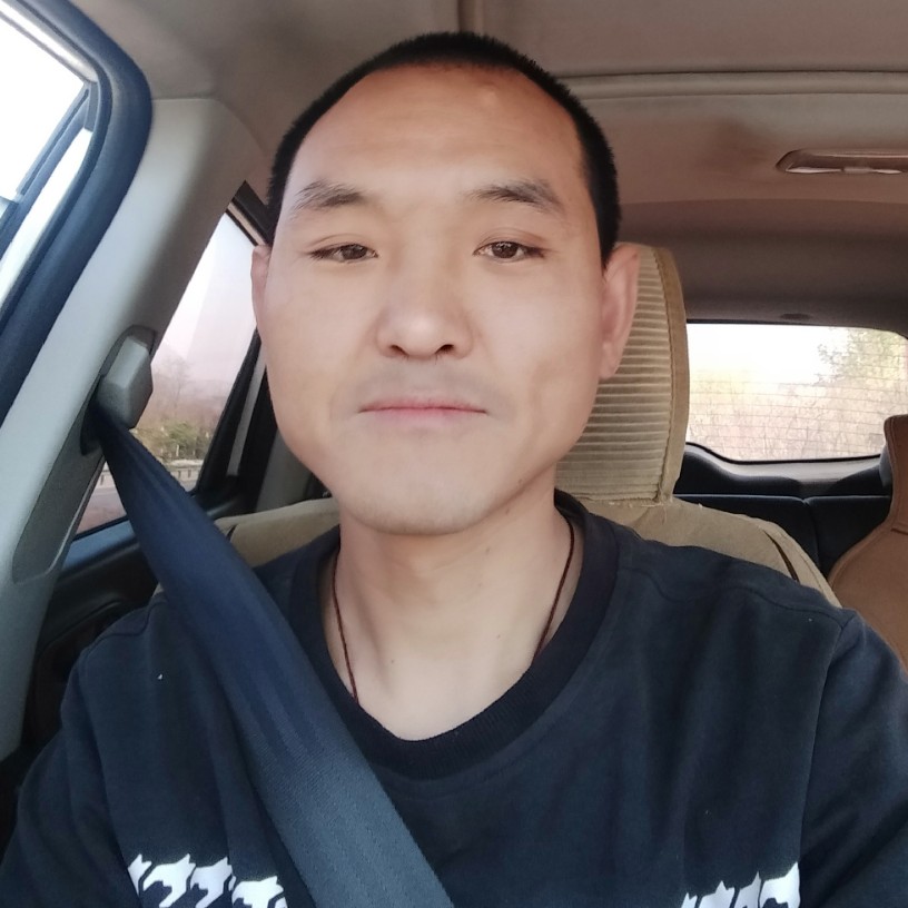 灰狼淡淡的照片
