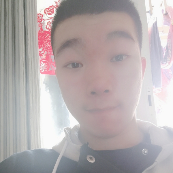 丹参贵族的照片