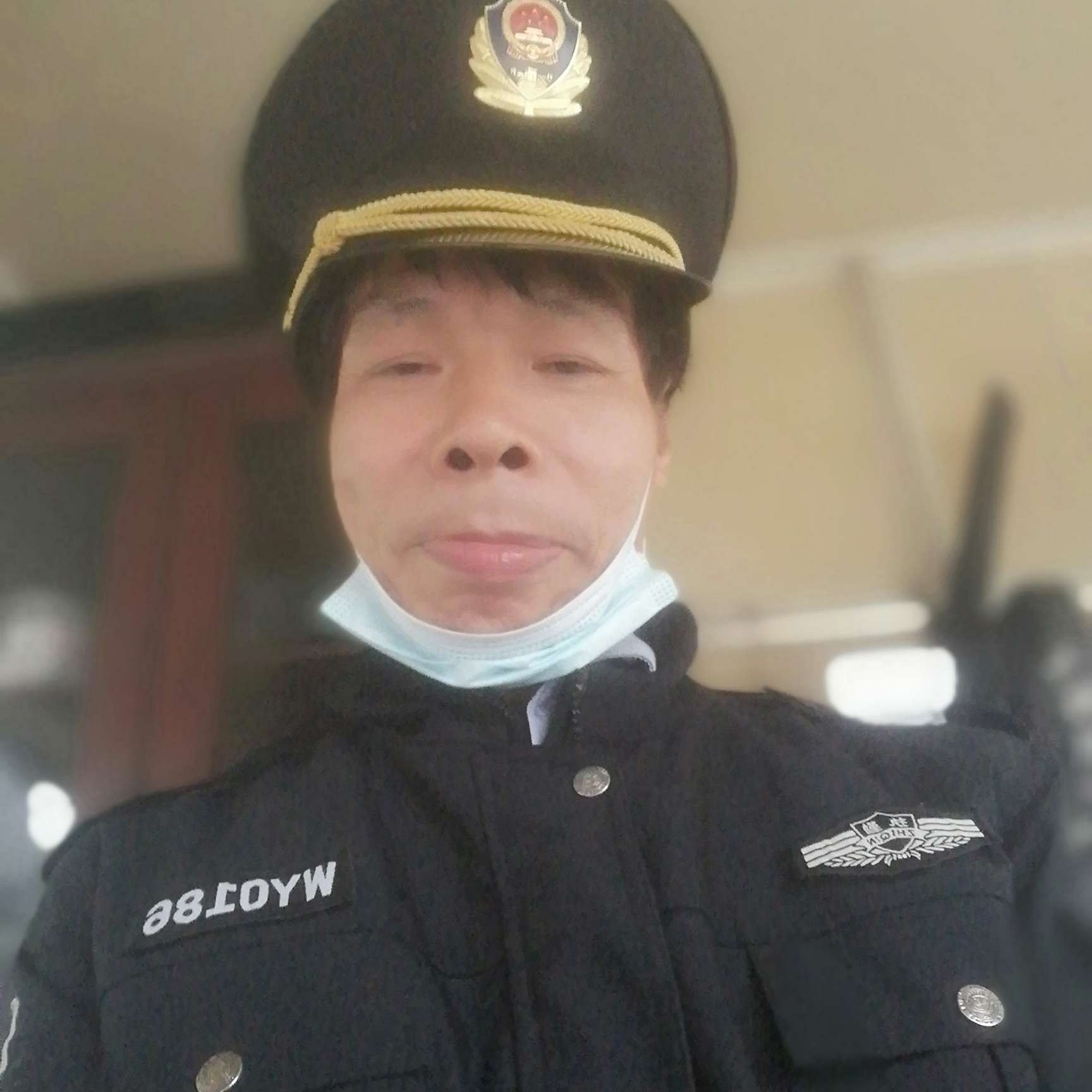 伶俐等于飞鸟的照片