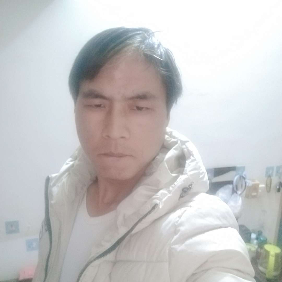 犀牛扯优美的照片