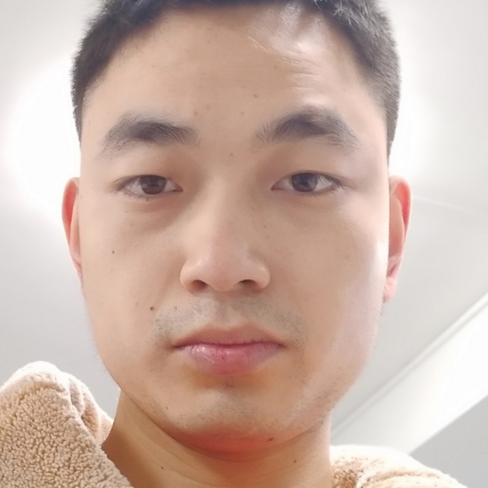 鸭子要起飞的照片