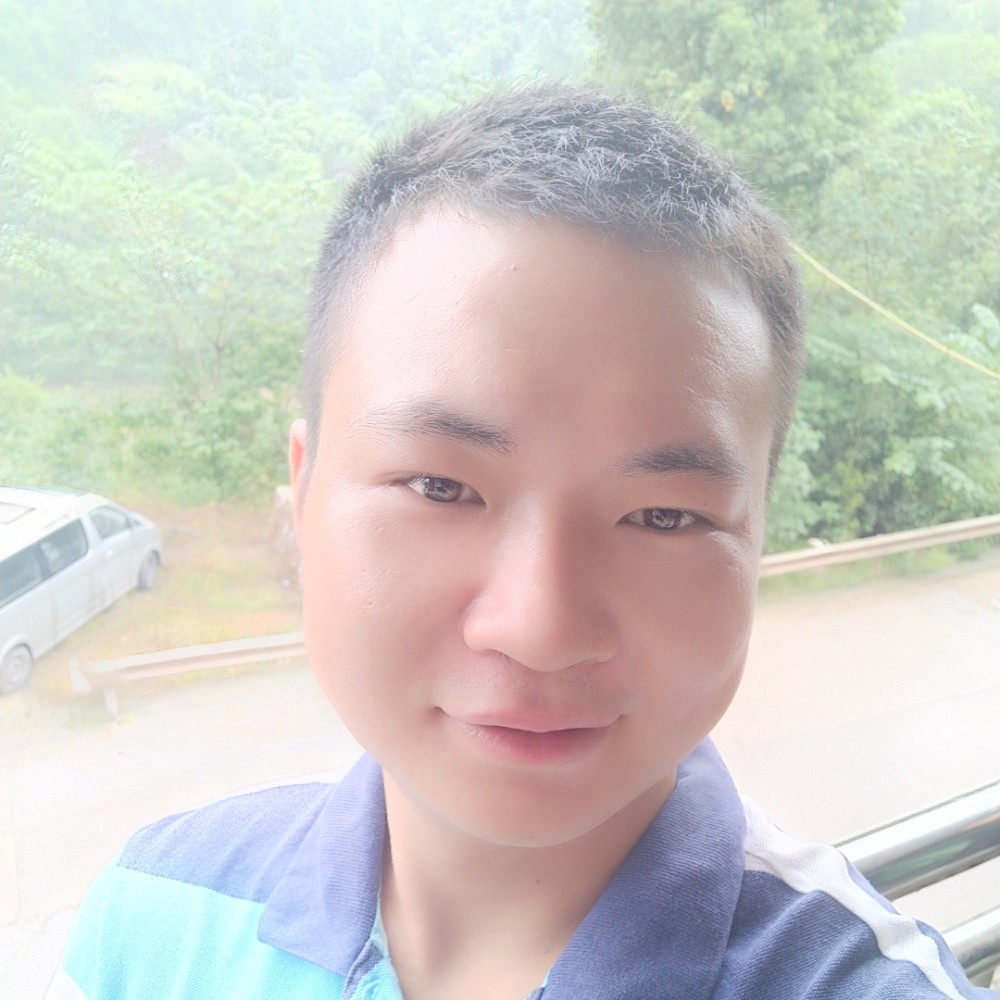自然剪影的照片