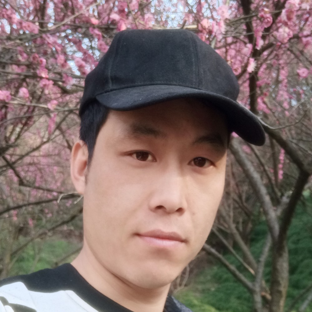 翩飞闻飞机的照片