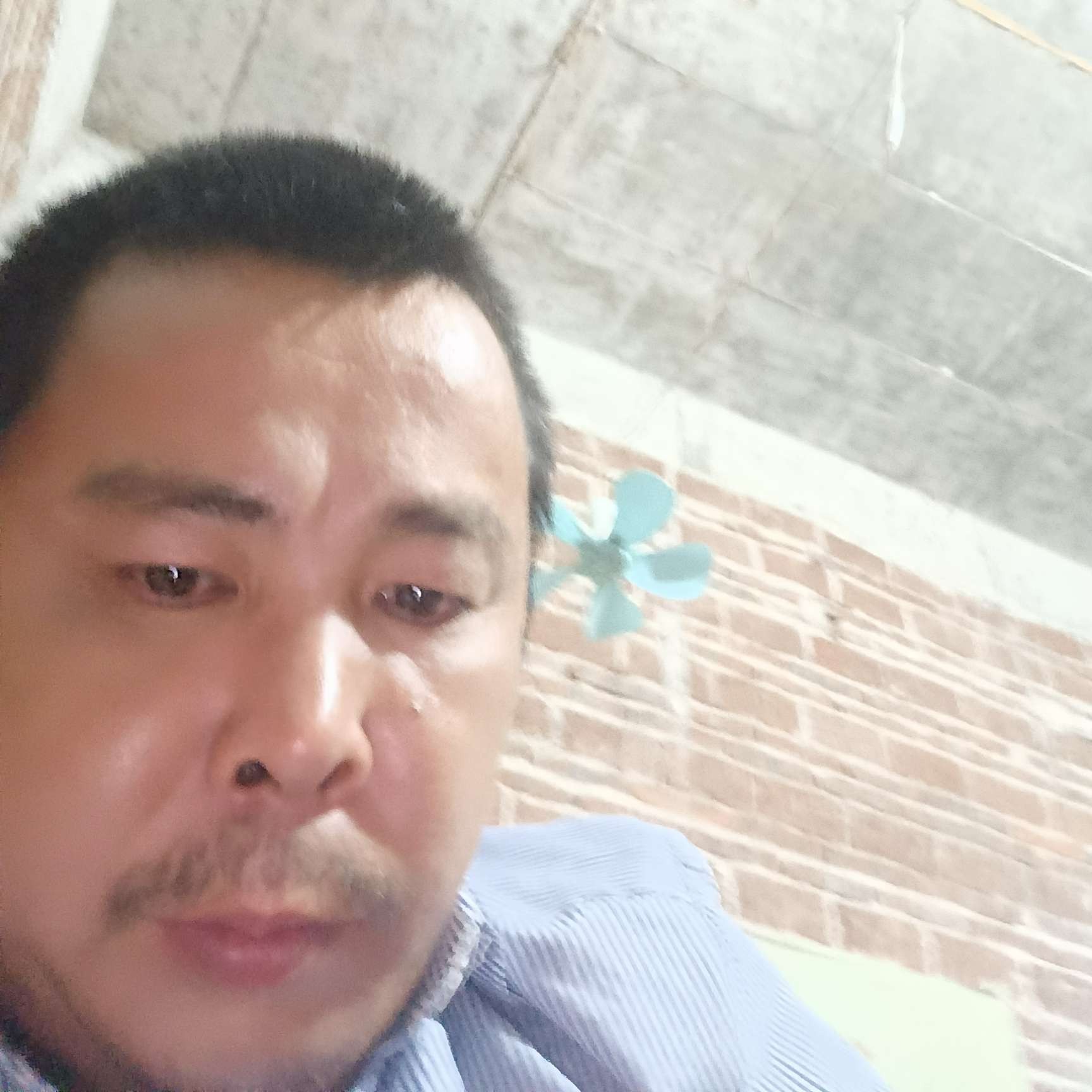 谁浅吻灯泡的照片