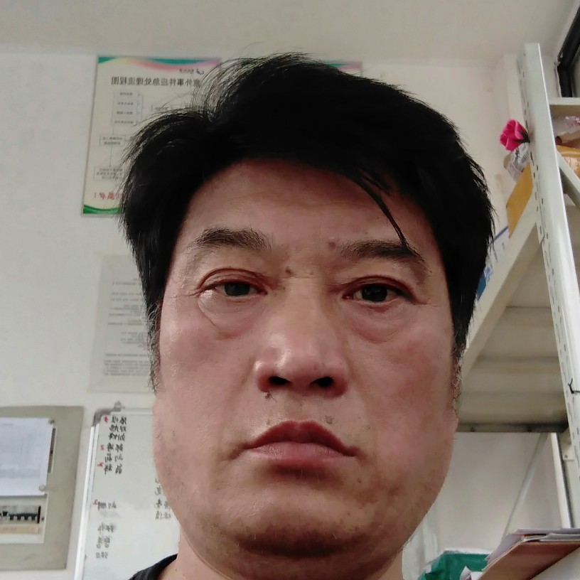 机灵蹁跹长颈鹿的照片