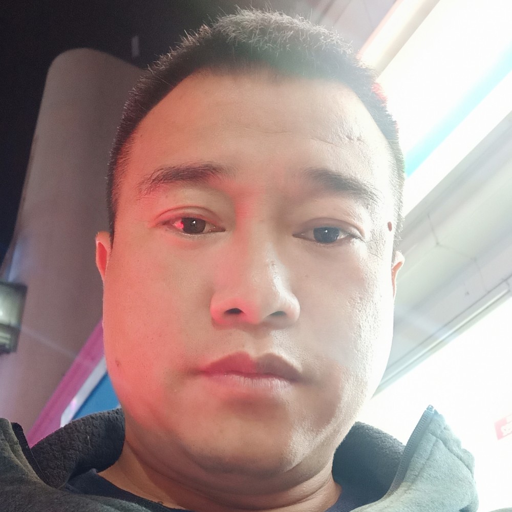 自行车执着的照片
