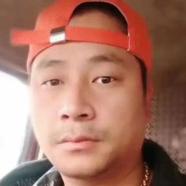 默默邂逅大树的照片