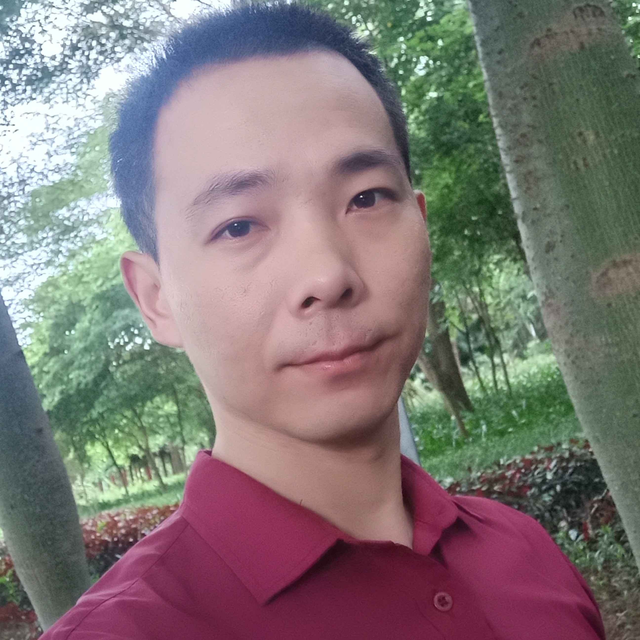 夏日的清风的照片