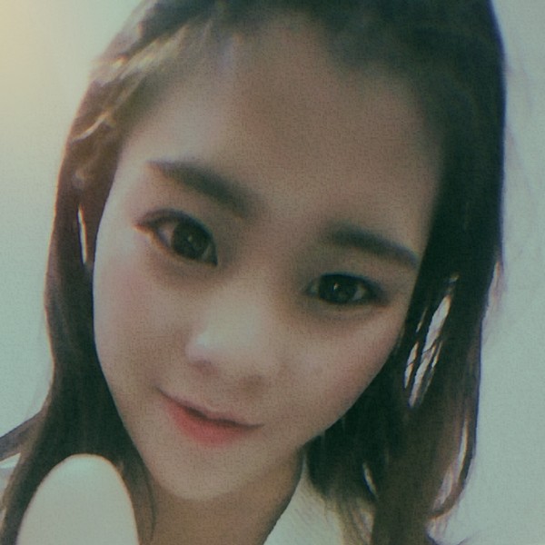 舒适向日葵的照片