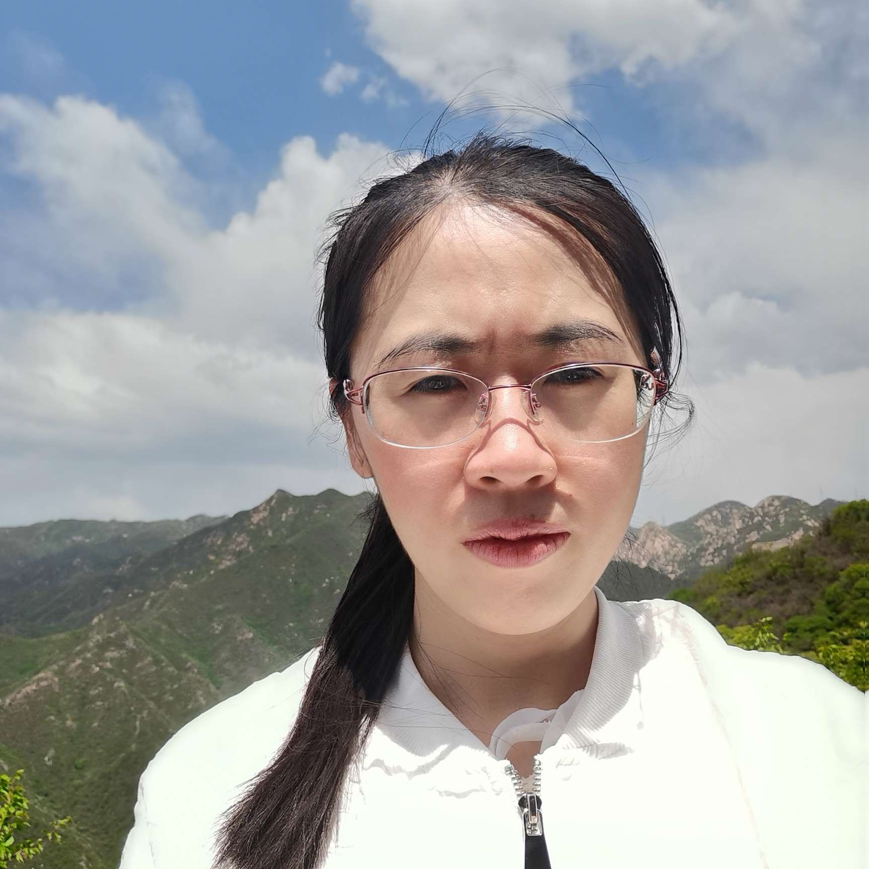 完美愿草丛的照片