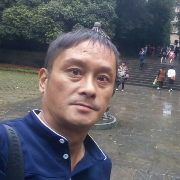 树叶怕孤独的照片