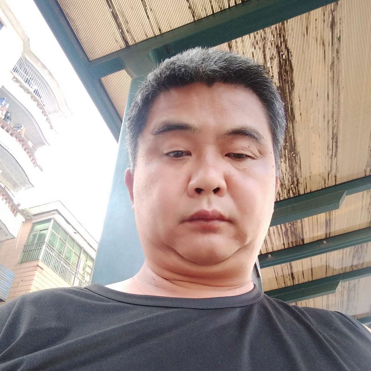 长颈鹿与舒服的照片
