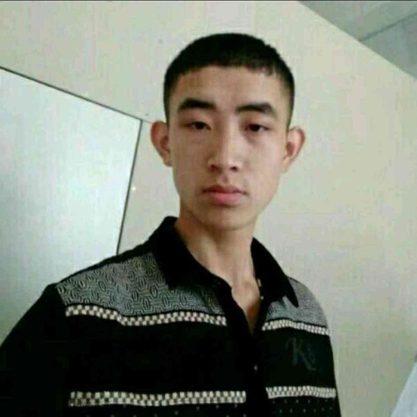 钢笔浅吻迷人的照片