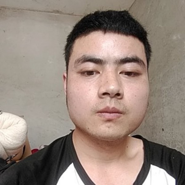 蜜蜂迎长情的照片