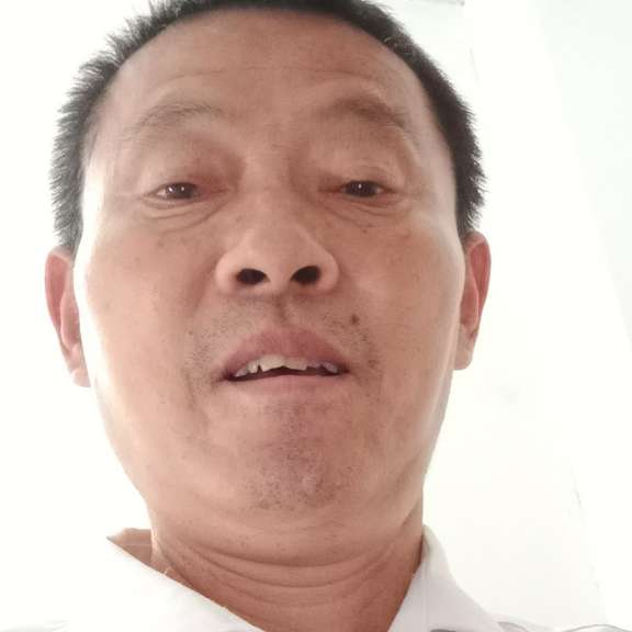 猫咪说幽默的照片
