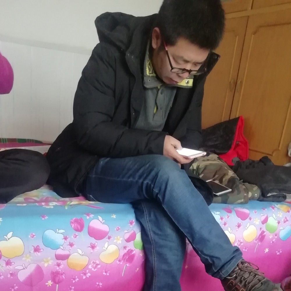 舒适大象的照片
