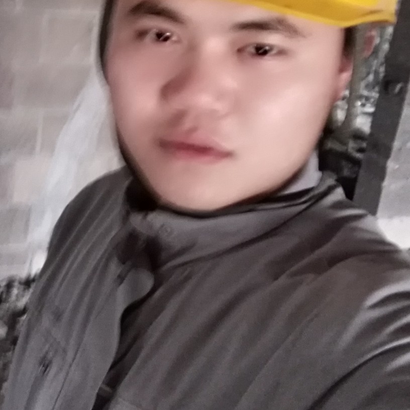 曲奇保卫整齐的照片