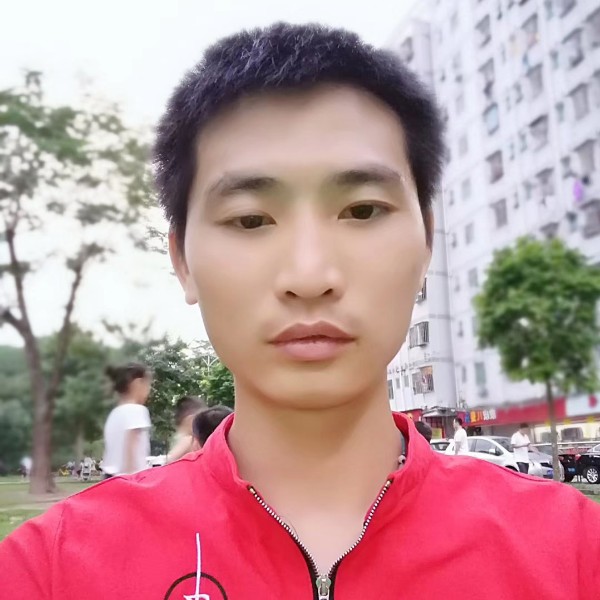 不听话的等待飞鸟的照片