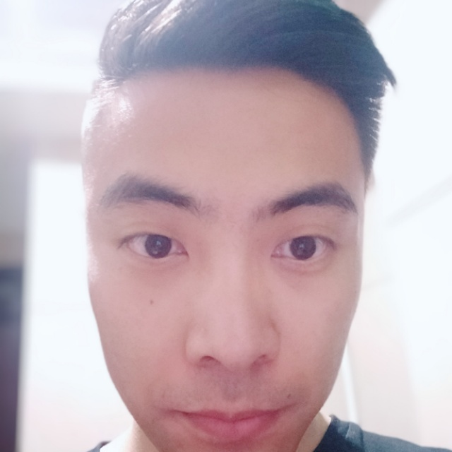 火车停止陶醉的照片