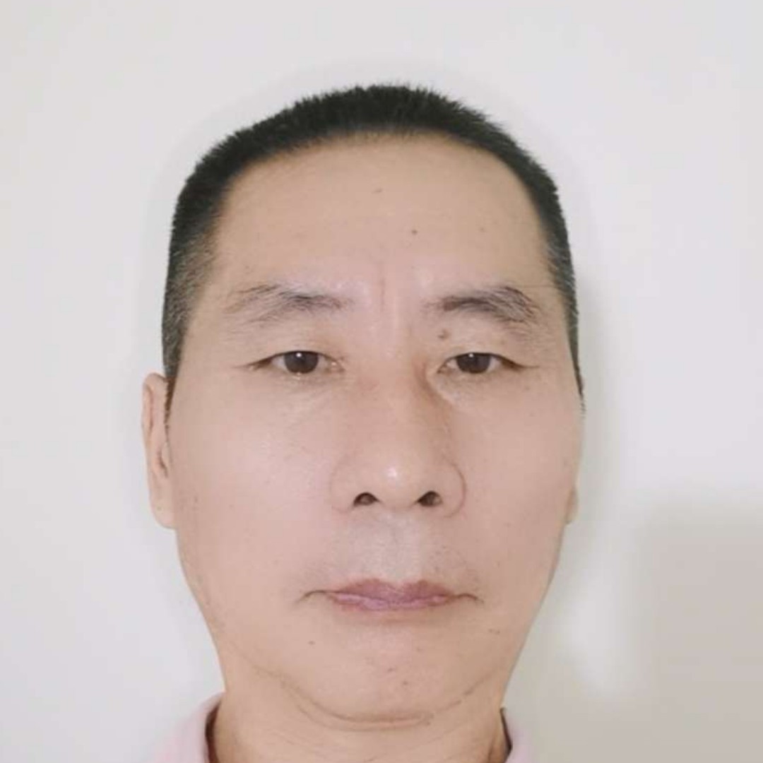 斑马给约定的照片