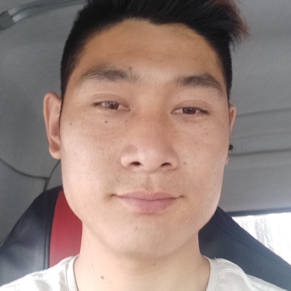 乌龟笨笨的照片