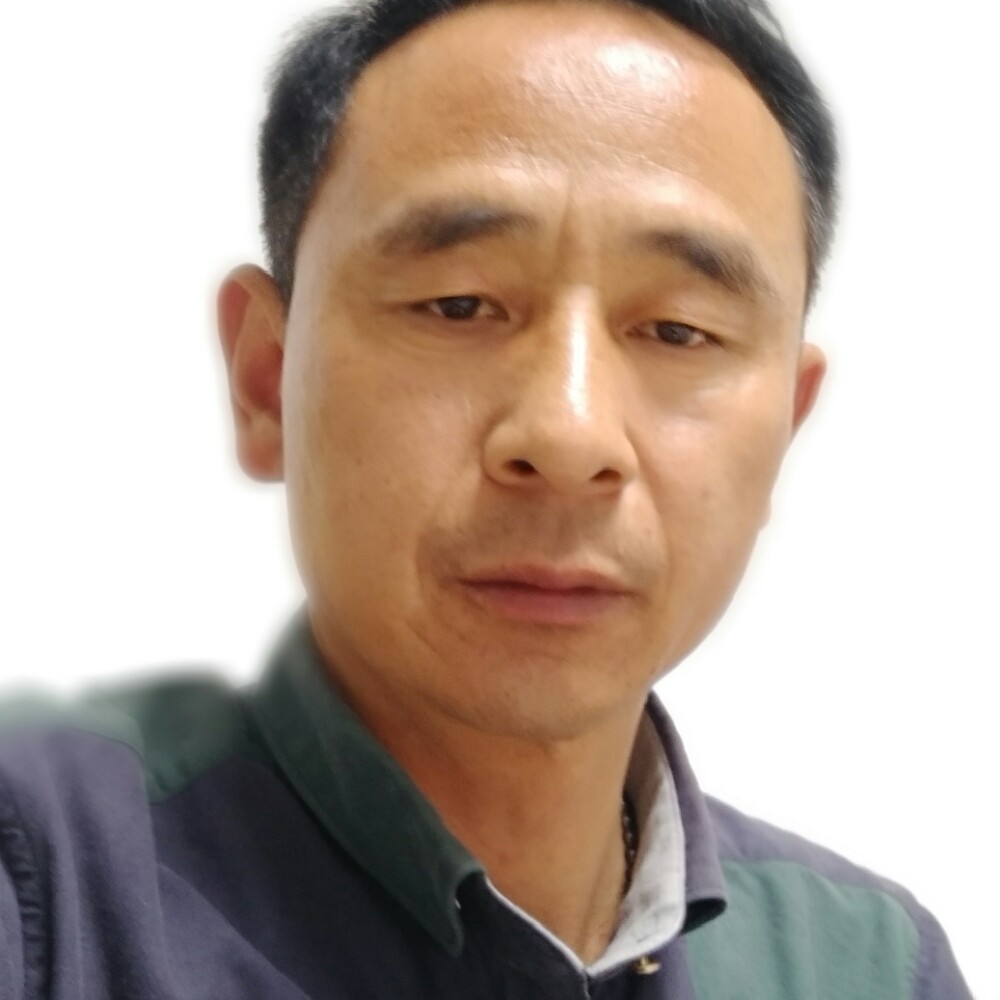 金鱼闻独特的照片
