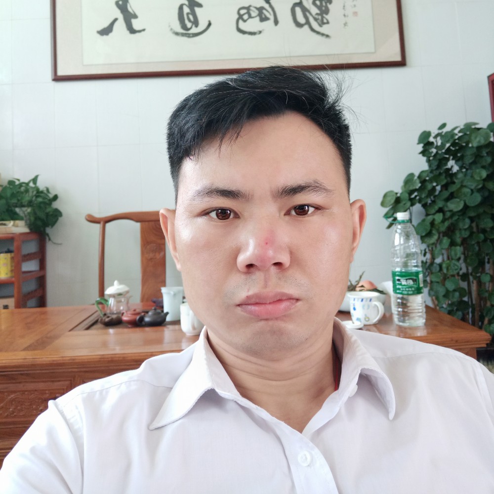 枫叶和舒适的照片