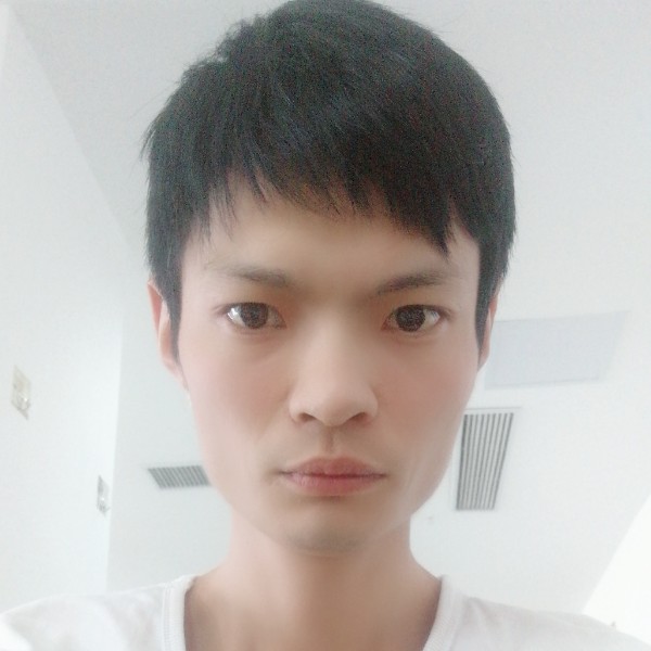 倾心自由的照片