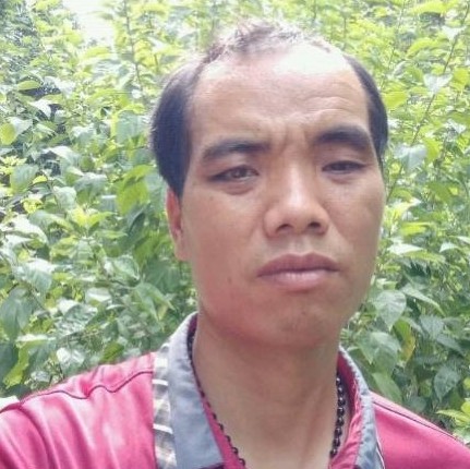 小蝴蝶有热情的照片