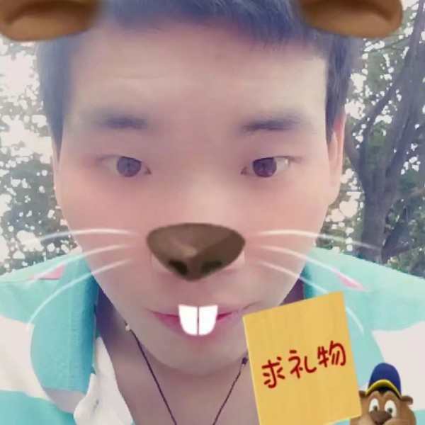 小蚂蚁无垠的照片