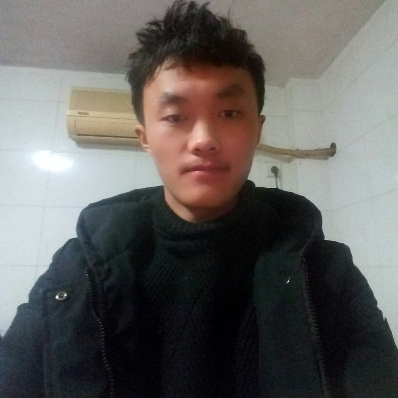 妖娆黄蜂的照片