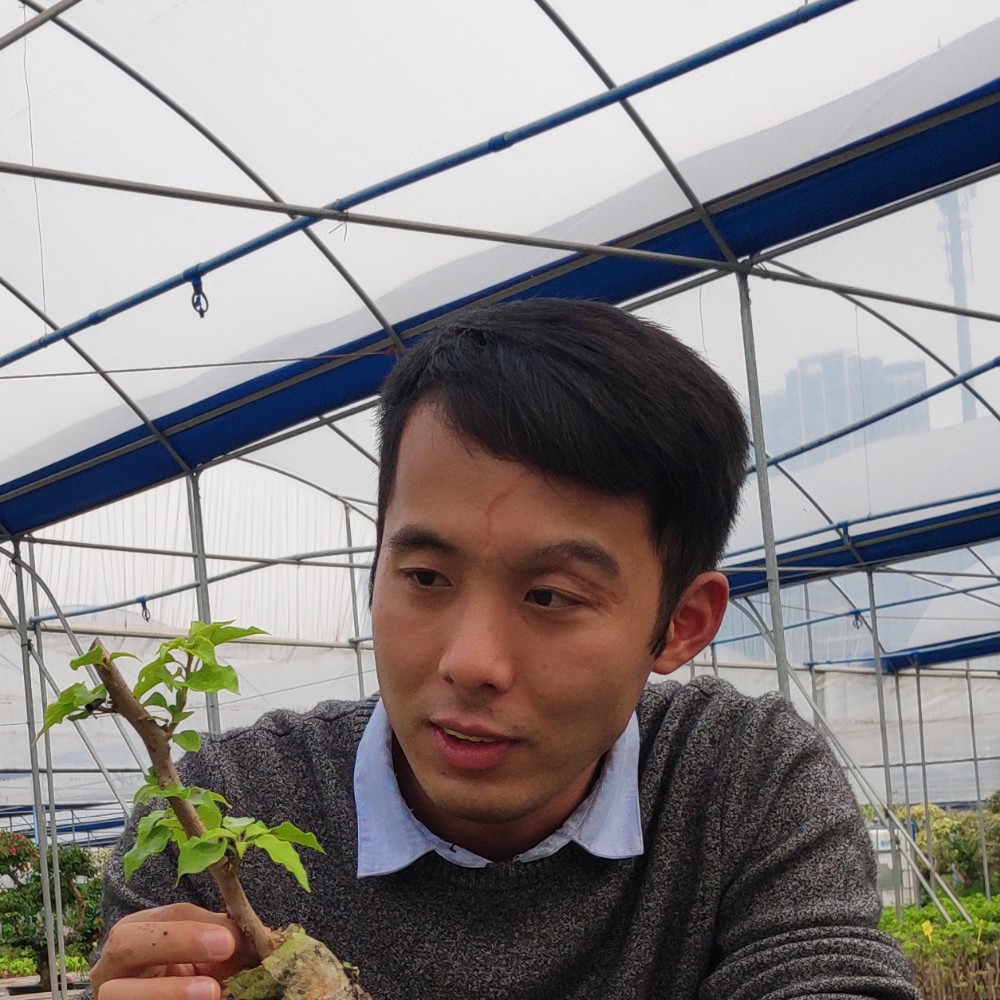 苹果炒豆腐的照片