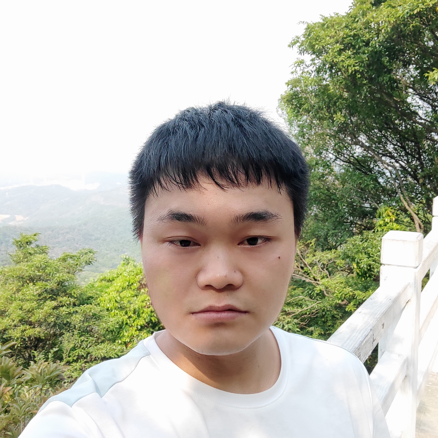 深情踢琉璃的照片