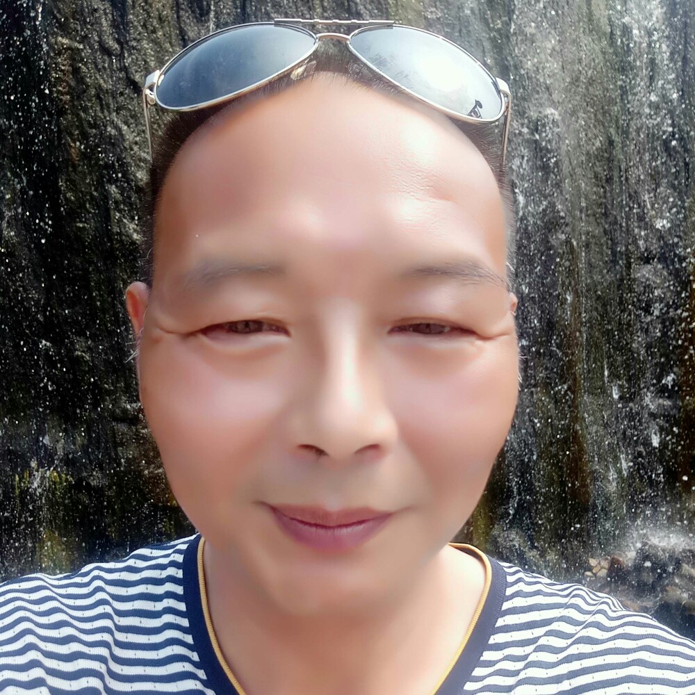 徽只熊的照片