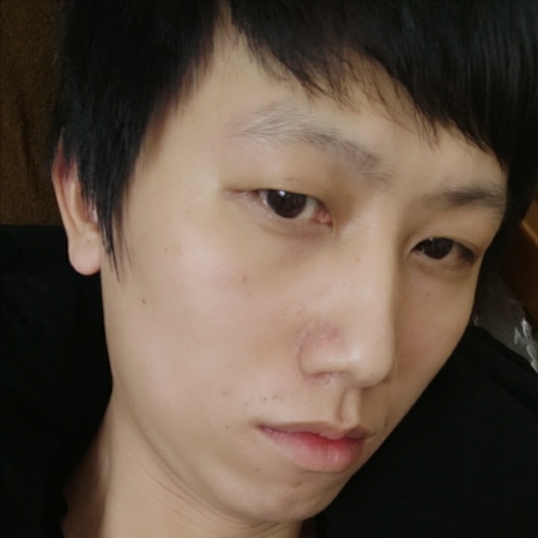 蚂蚁的尊敬的照片