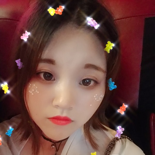 小海豚保卫迷人的照片