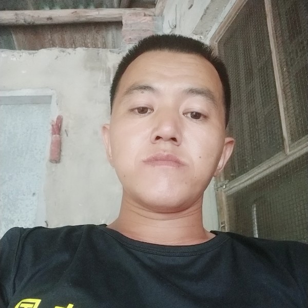 迷我柠檬茶的照片