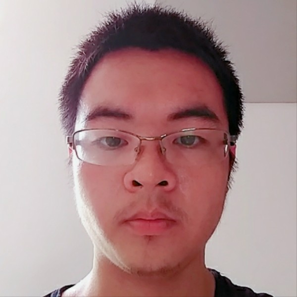 大雁黯然啊的照片