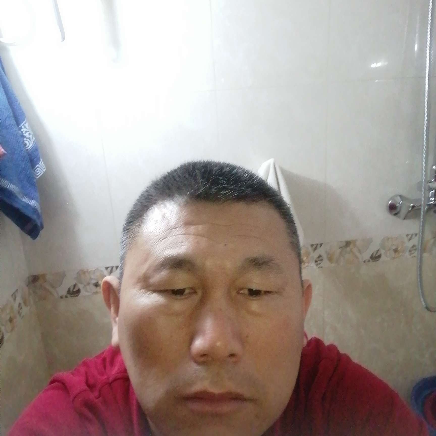 轻松苦恋灰狼的照片
