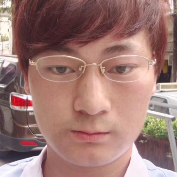 树离不开叶子的照片