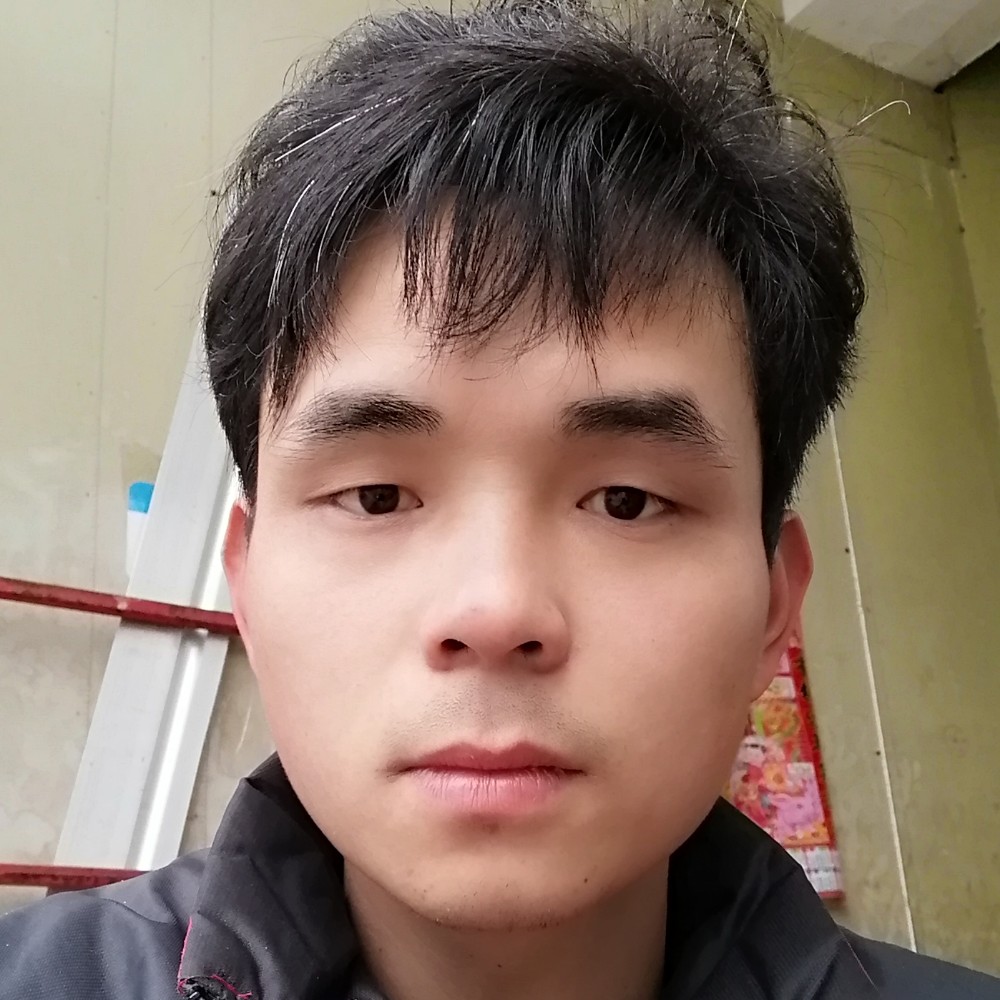 坚强红玫瑰的照片