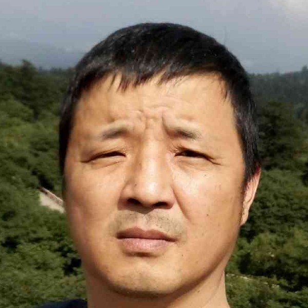 含羞草等于优美的照片