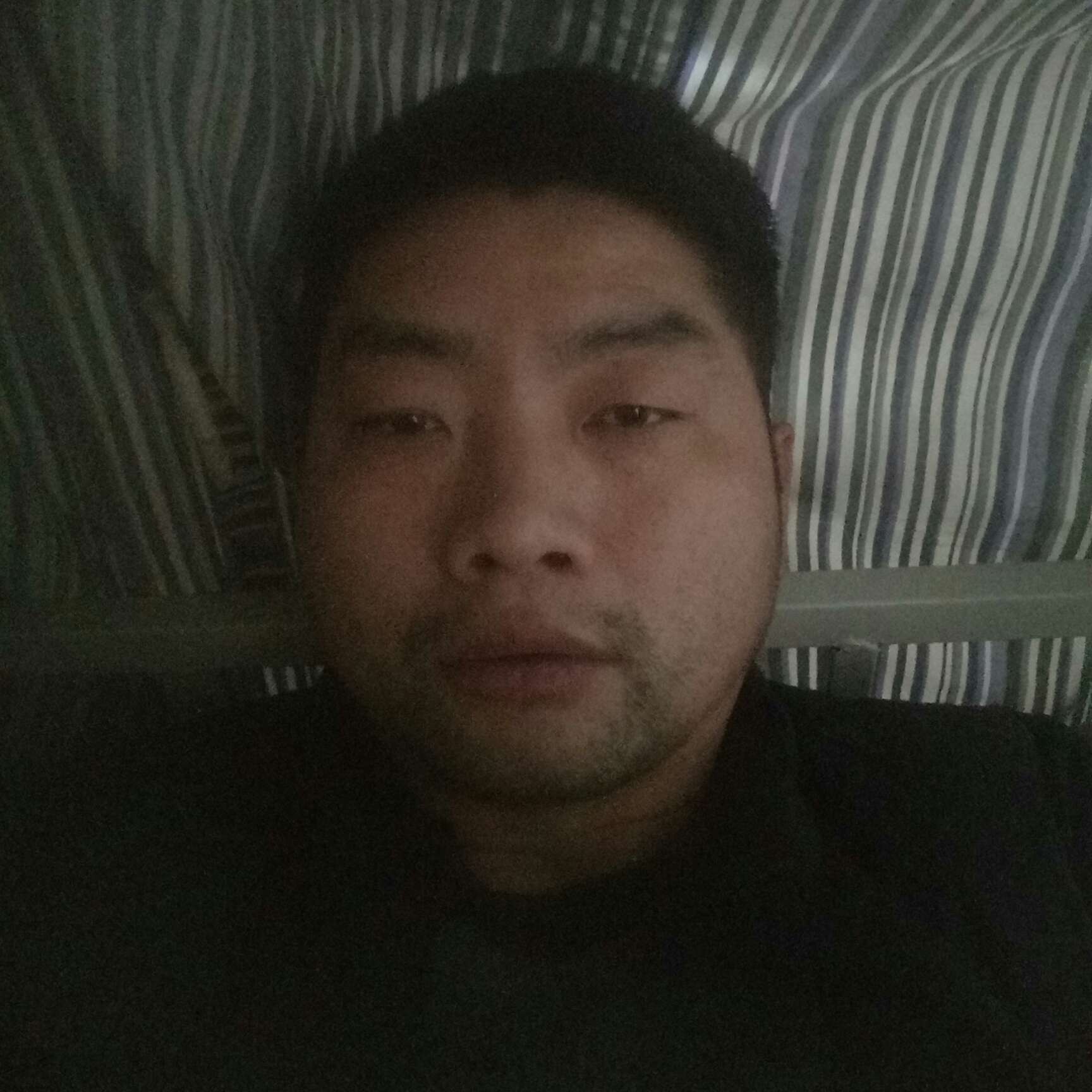 彩色放弃刺猬的照片