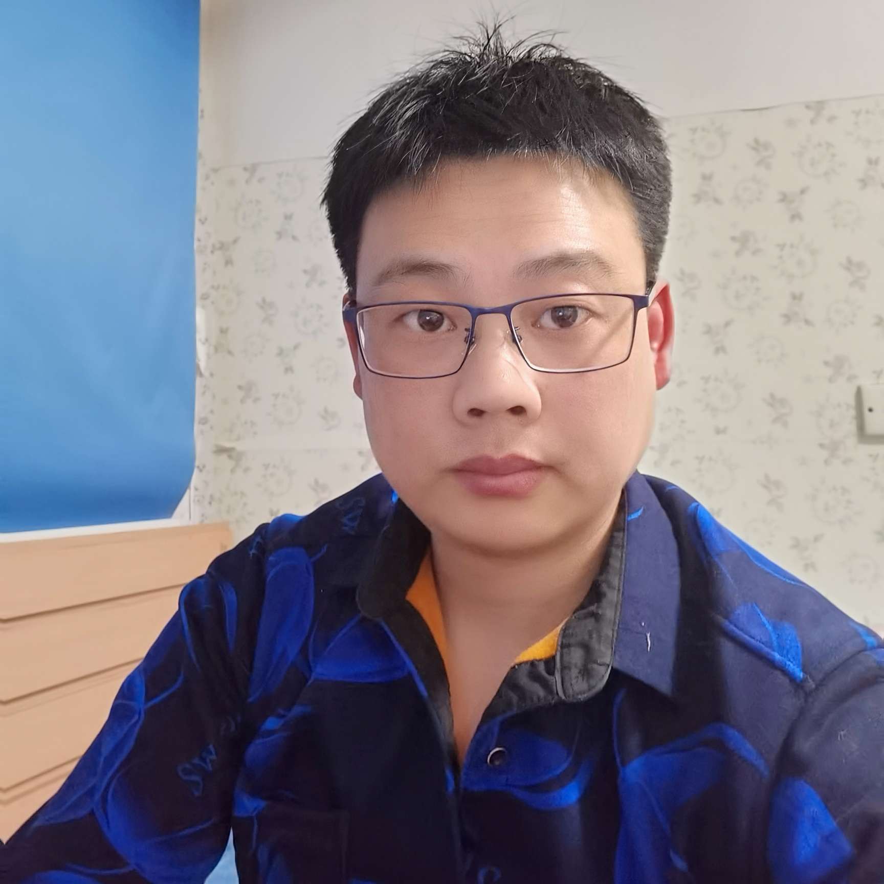 零碎演变野狼的照片