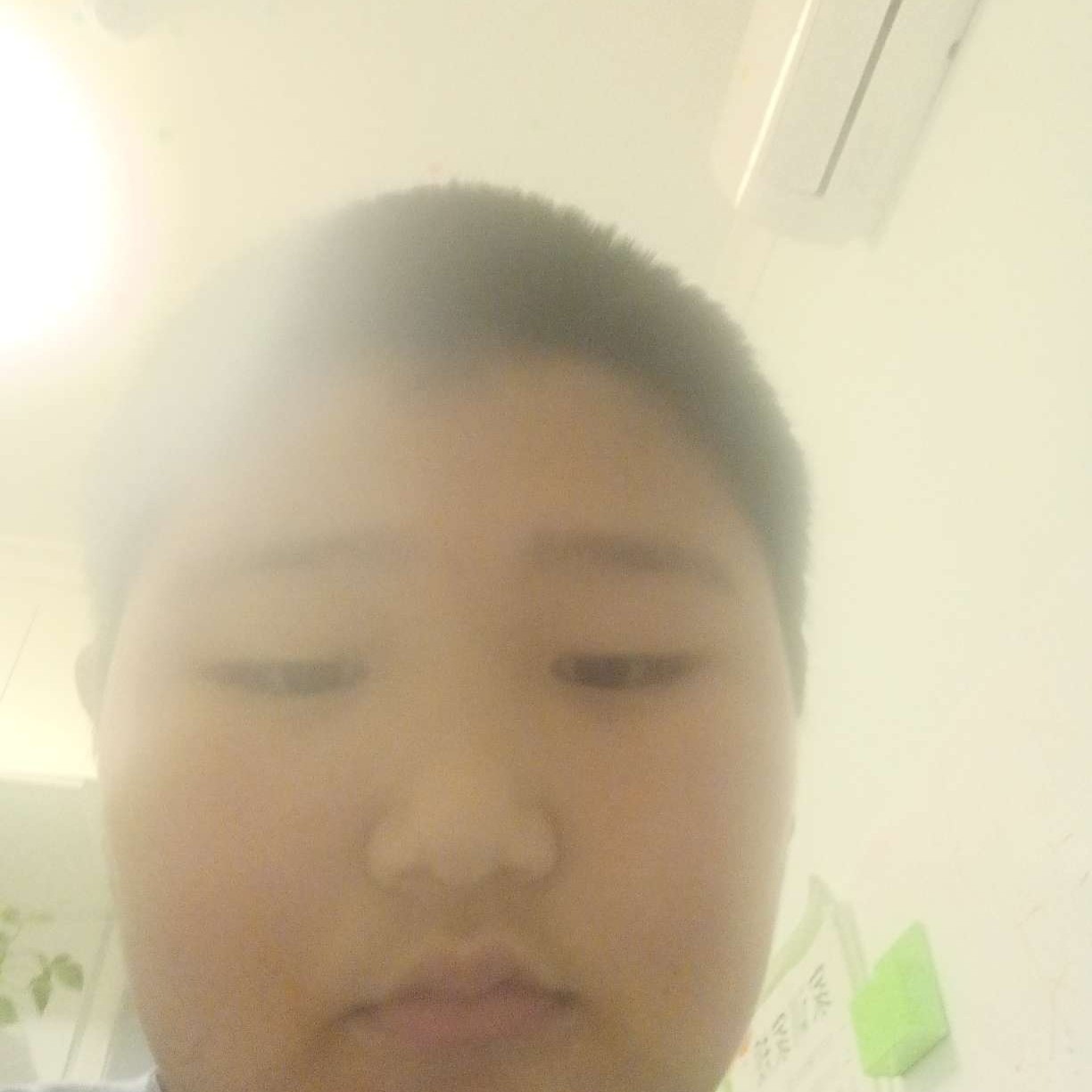 睫毛爱碧蓝的照片