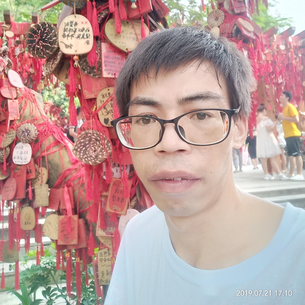 小蝴蝶漫步绵密的照片