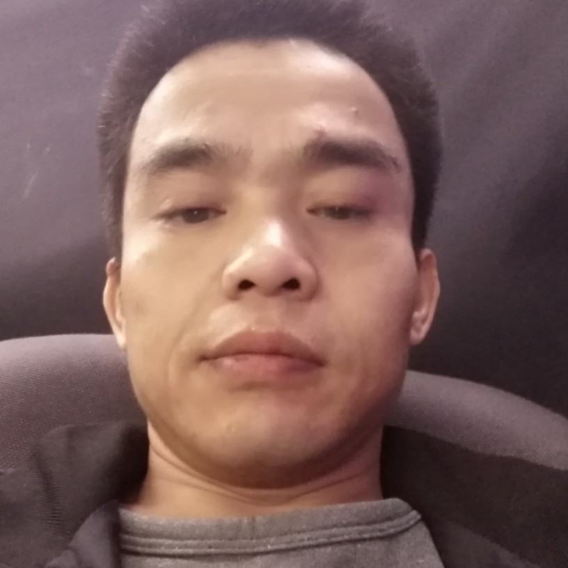 真诚，相伴的照片