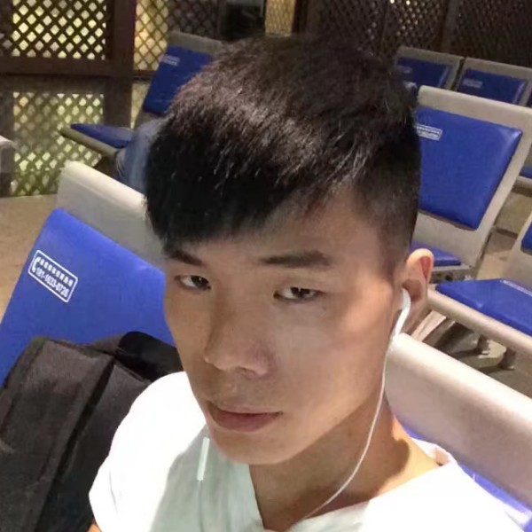 凉面苗条的照片